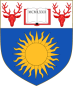 Richmond American University logo